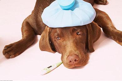 “CRITICAL REFLEX TIME”发布会定档9月16日 重磅公开多款新作预告及发售情报